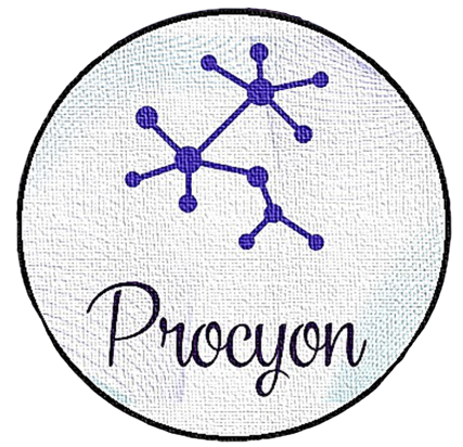 Procyon Tecnologia